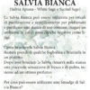 SALVIA BIANCA SMUDGE 30 gr ca.