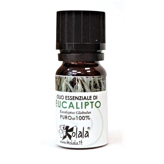 Olio Essenziale Di Eucalipto 10ml